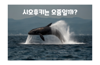 시오후키는 오줌일까?